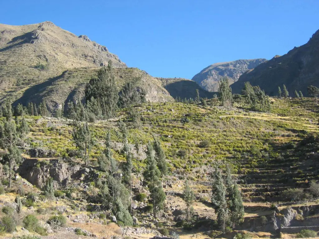 Colca Canyon