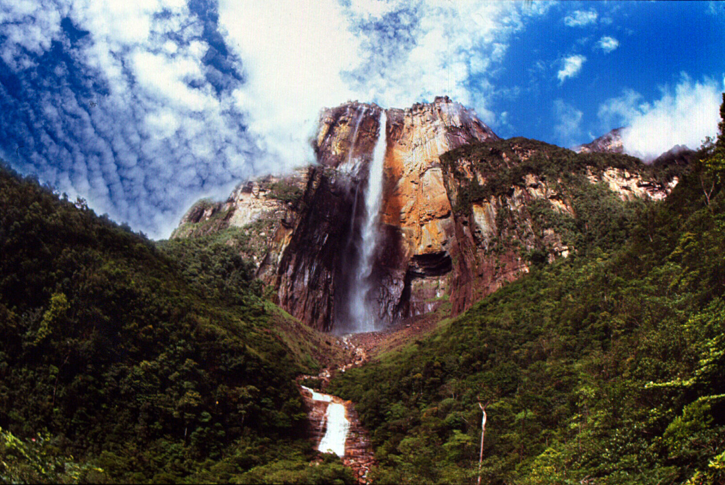 angelfall 3