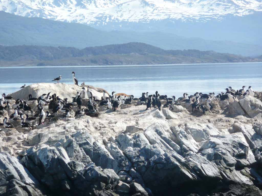 Tierra Del Fuego Tours Ushuaia Tierra Del Fuego Tours Ushuaia