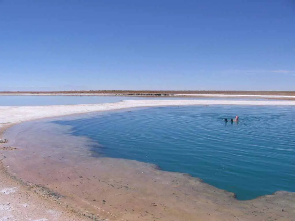 El Tatio Geysire in der Atacama Wüste