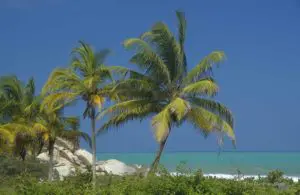 Traumhafte Karibikstrände gibt es im Tayrona Nationalpark in Kolumbien.