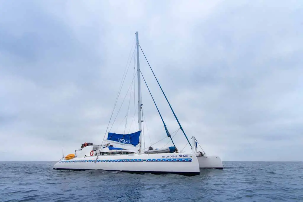 Galapagos Kreuzfahrt mit dem Segelkatamaran Nemo I