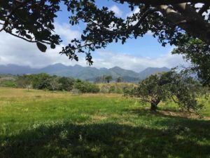 Wanderung im Bergland von Santa Fe