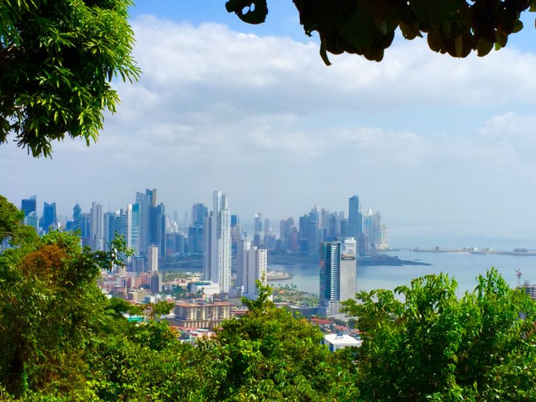 Blick durch grünes Blattwerk auf die moderne Skyline von Panama-Stadt am Pazifik