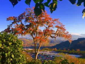 Natur in Costa Rica