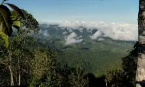 Ausblick auf den schönen Santa Lucia Nebelwald