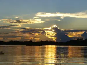 Manu Nationalpark in Peru