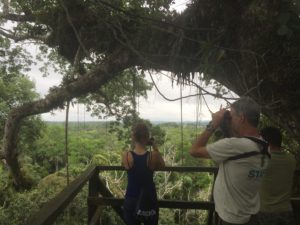 Amazonasregenwald Sacha Lodge: Beobachtungsturm