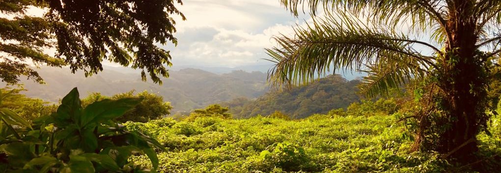 Wissenswertes zur Reisesicherheit in Costa Rica