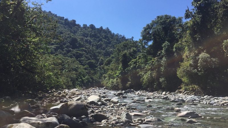 Orosital Tapanti