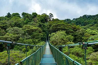 Hanging Bridges im Monetverde Nebelwald