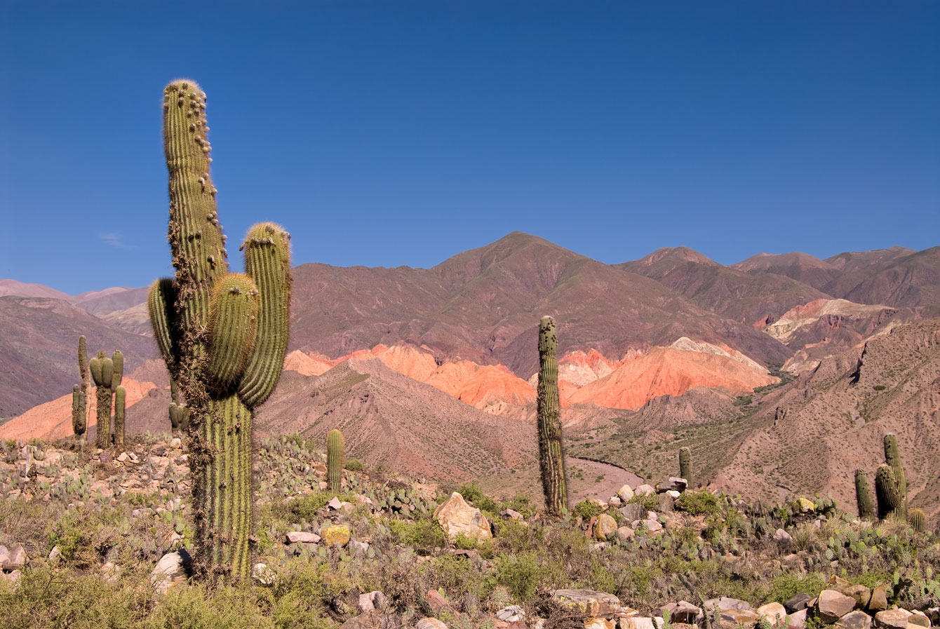 Argentinien-Reise-Salta-Umgebung