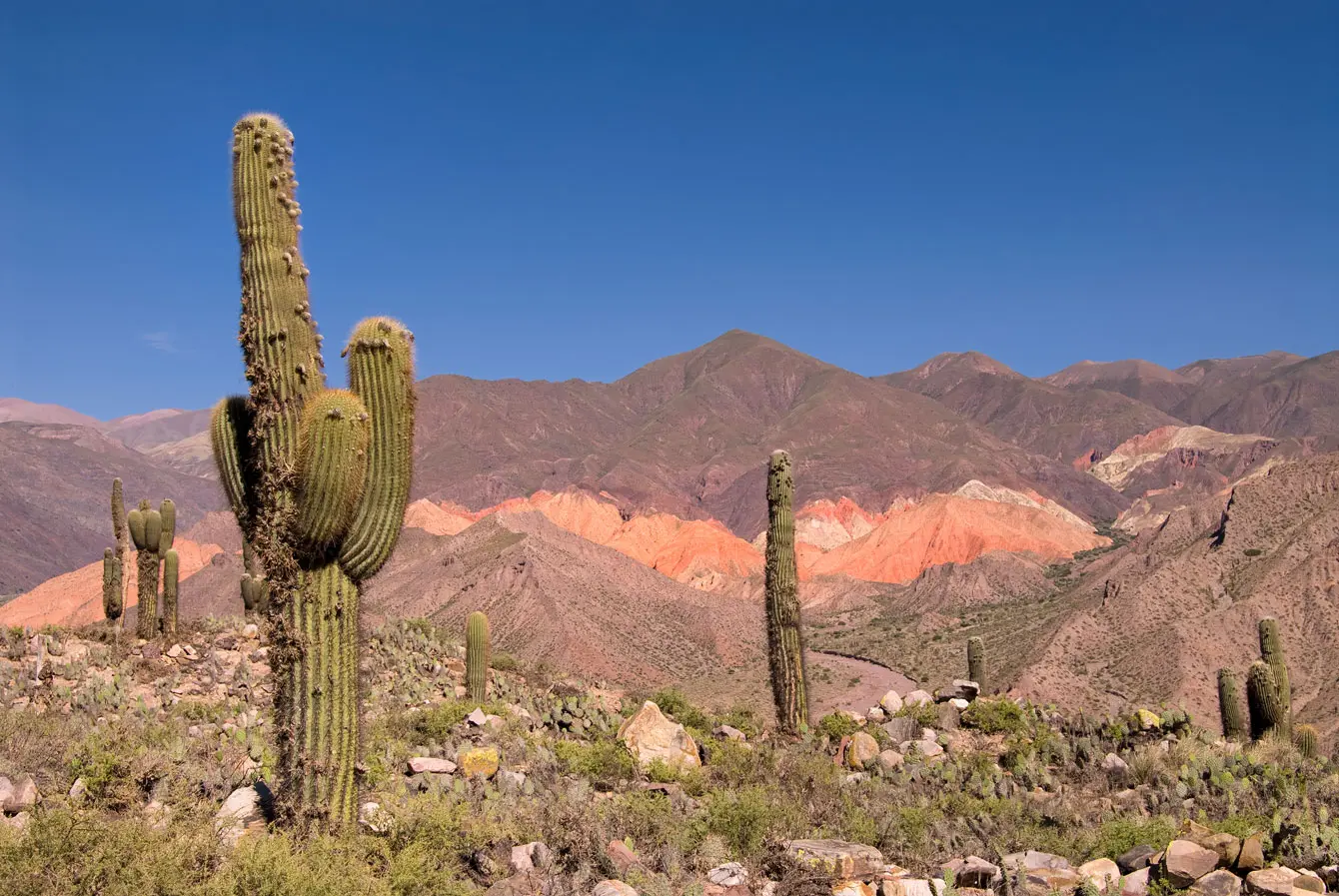 Argentinien-Reise-Salta-Umgebung