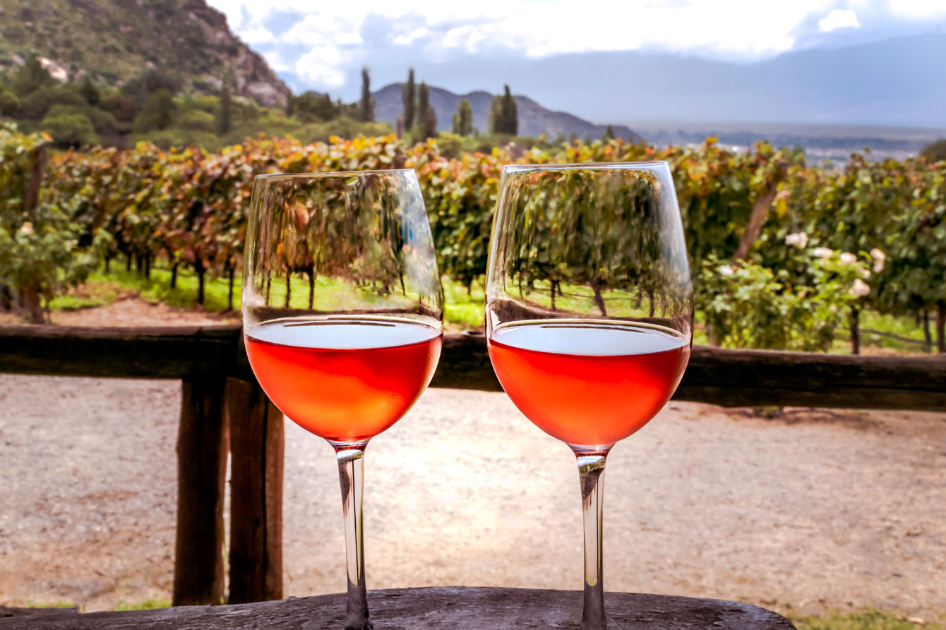 Zwei Weingläser gefüllt mit Wein aus Salta, eine der bekanntesten Weinregionen Argentiniens. Im Hintergrund Weinberge und Anden.