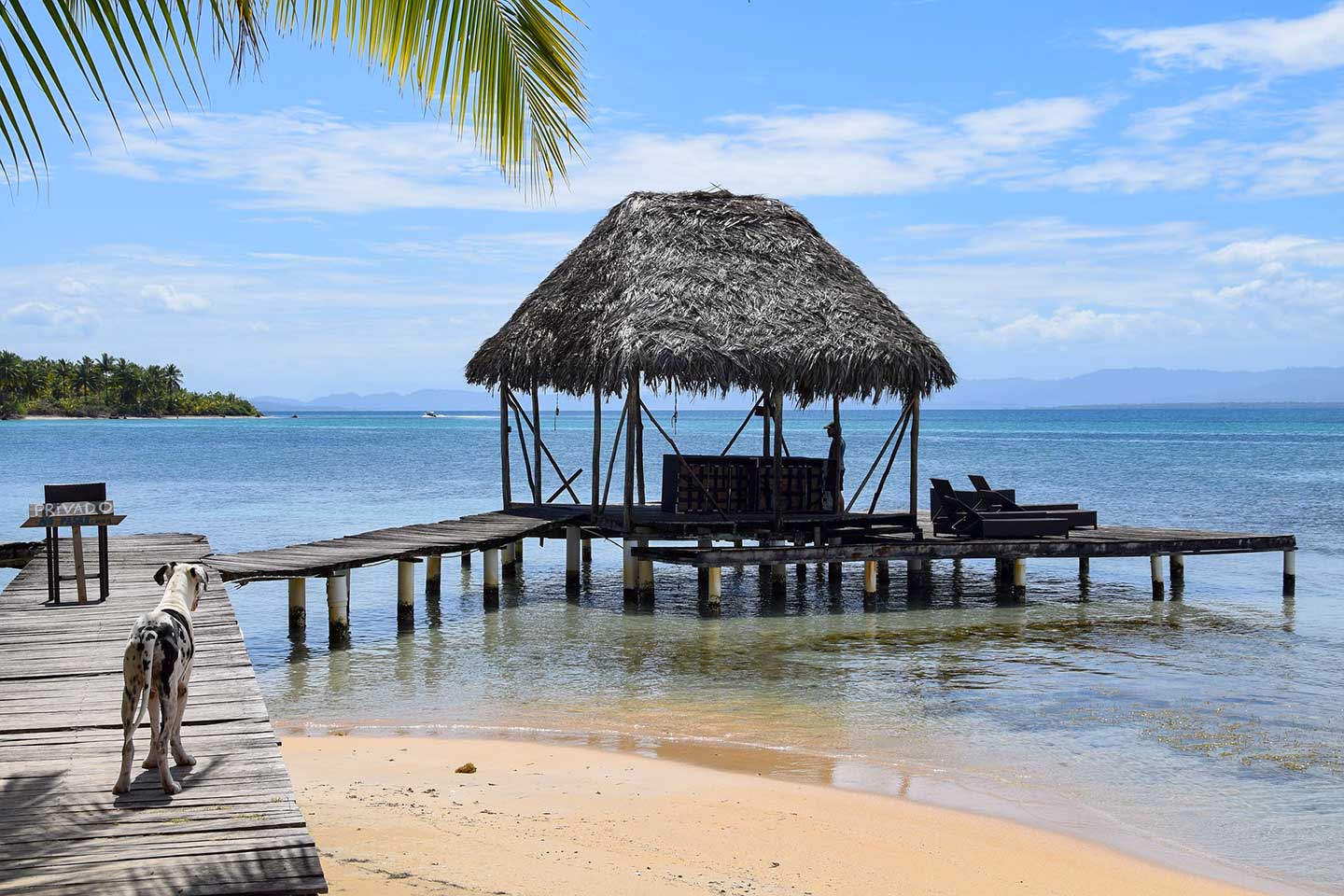 Ein Mann schnorchelt bei den Bocas del Toro. Hinter ihm ein Boot.