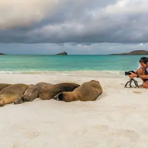 Galapagos Inselhopping (6 Tage)