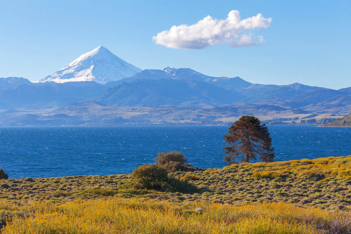 Huechulafquen-See-San-Martin-de-los-Andes