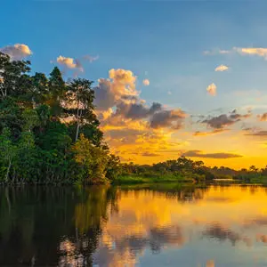 Kolumbien Amazonas Regenwald Tour