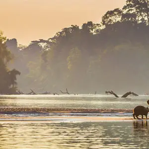 Manu Nationalpark mit Zona Reservada