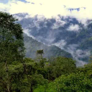 Santa Lucia Cloud Forest Lodge