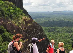 Abenteuer Kasikasima Jungle Expedition