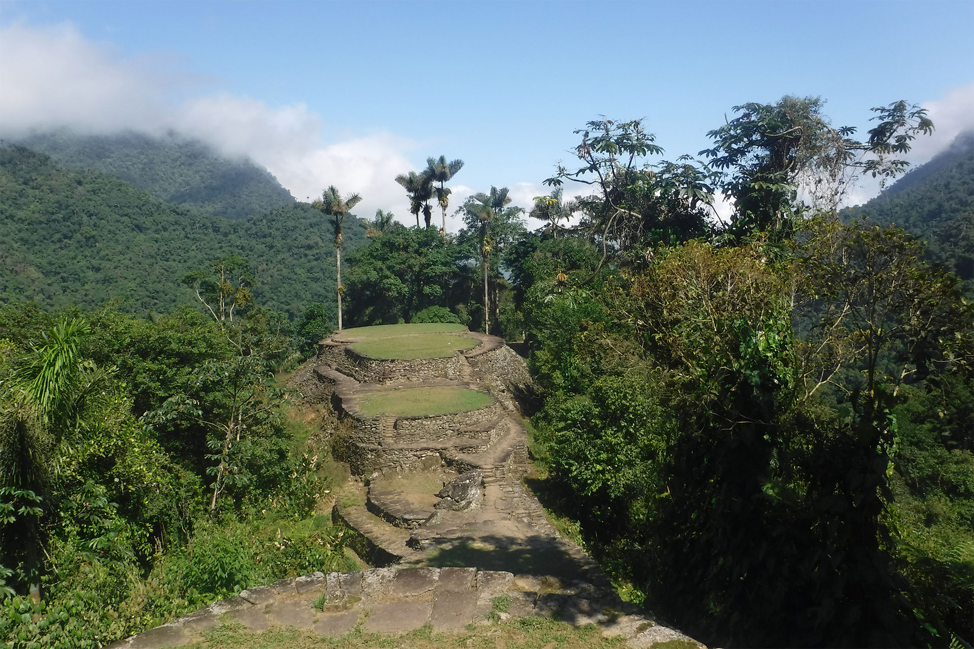 Terrassenförmige Steinruinen der Ciudad Perdida im dichten Bergregenwald Kolumbiens, umgeben von Palmen und bewaldeten Berghängen.