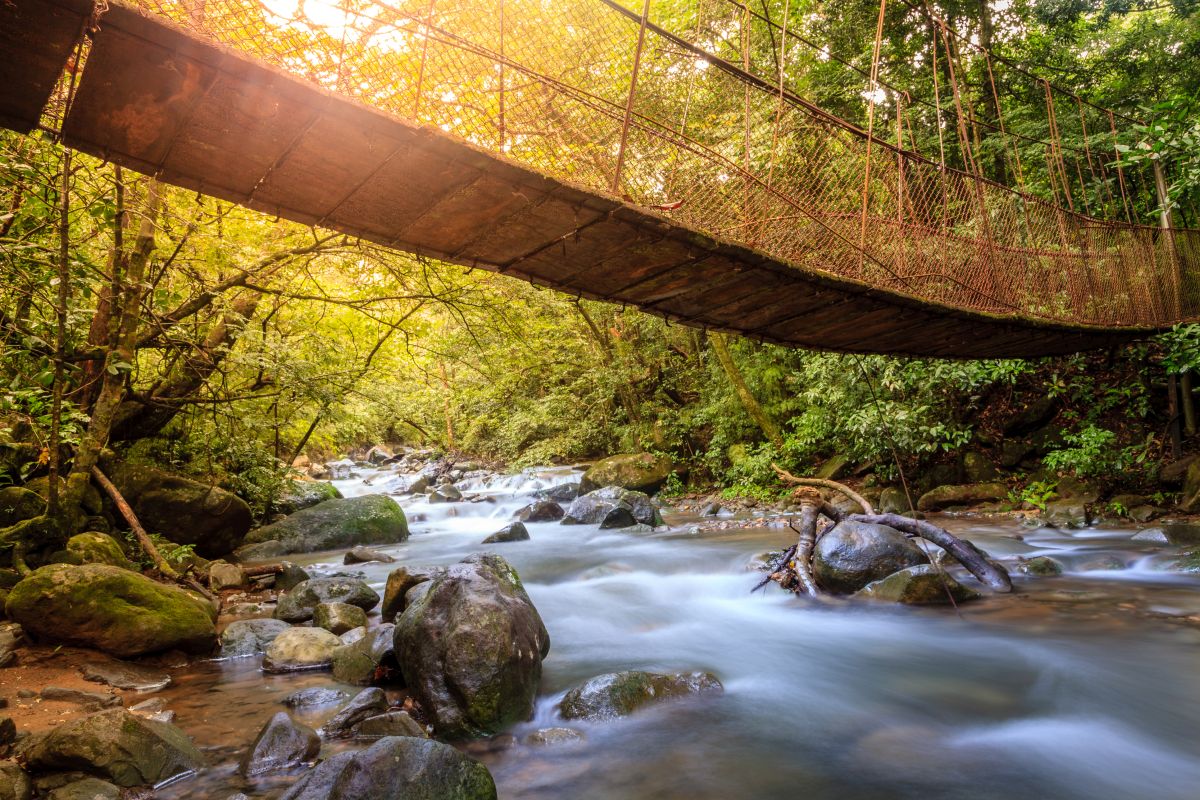 Eine hölzerne Hängebrücke spannt sich über einen wilden, von Moosfelsen gesäumten Flusslauf im dichten Regenwald bei einer Costa Rica Rundreise.