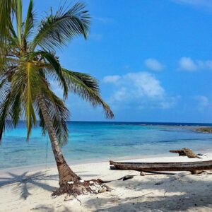 Karibische Träume: Eine Palme, dahinter ein kleines Boot auf der Isla Diablo