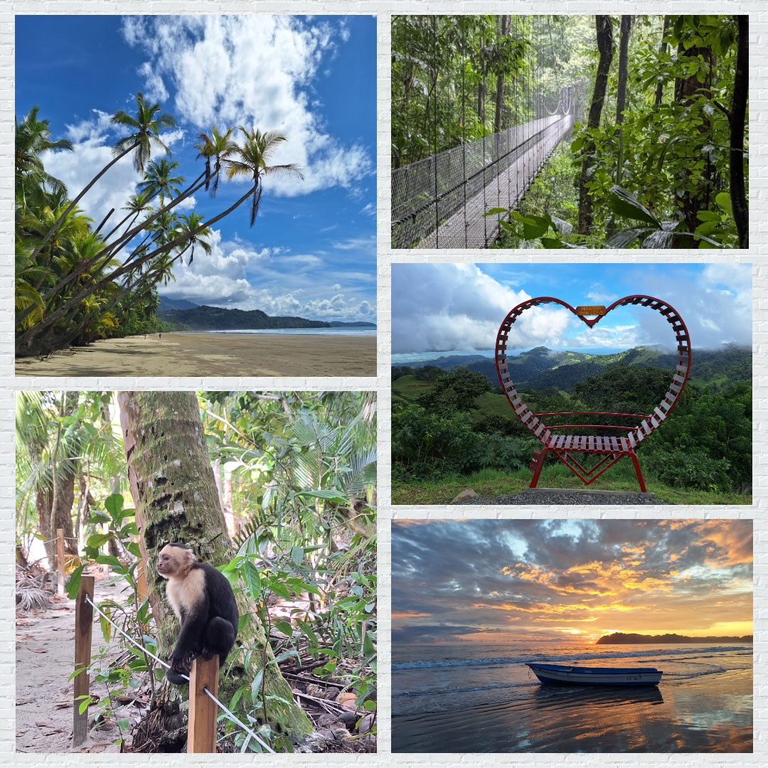 Collage aus Kundenfotos einer Costa-Rica-Reise mit Napur Tours: tropischer Strand mit Palmen, Hängebrücke im Regenwald, Kapuzineraffe, Aussichtspunkt in Herzform und Boot bei Sonnenuntergang, genutzt als Bild für eine Kundenstimme.