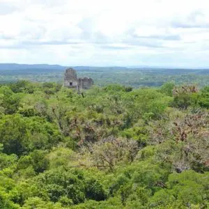 Zotz & Tikal Dschungelwanderung