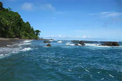 Ein felsiger Strand, an den dichter Regenwald grenzt. Der Himmel ist ganz klar und blau.