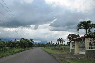 Eine Straße mit vielen Palmen an den Seiten, unter strark bewölktem Himmel.