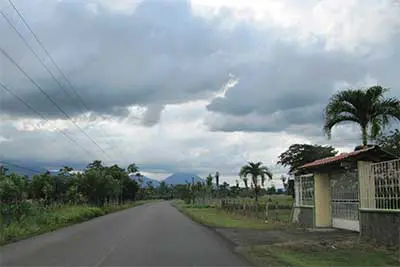 Eine Straße mit vielen Palmen an den Seiten, unter strark bewölktem Himmel.