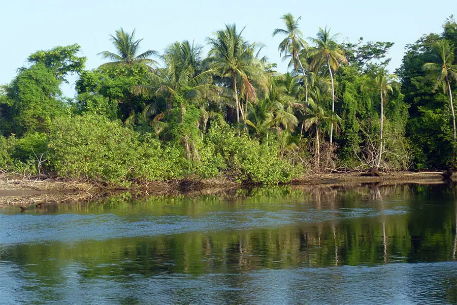 Corcovado-Trekking-Fluss