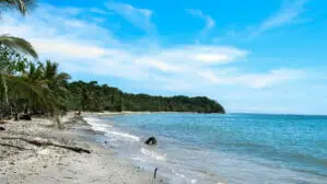 Wie hier in der Karibik ist das Wetter im September und Oktober nicht nur regnerisch. Man sieht einen Strand mit Palmen, bei blauen Himmel, Sonnenschein und wenigen Wolken