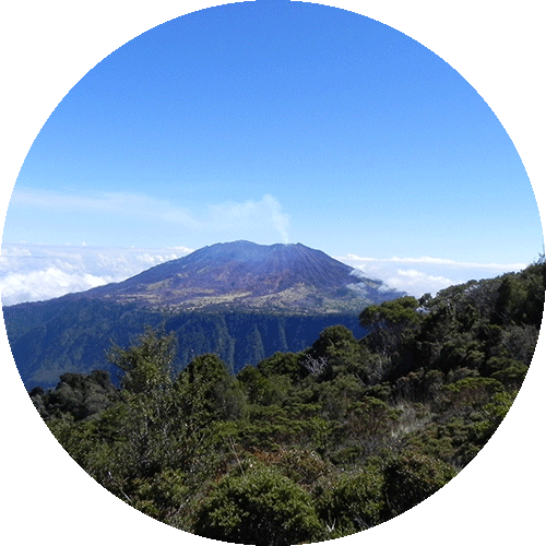 Der Turrialba Vulkan umgeben von dichtem Regenwald und strahlend blauen Himmel.