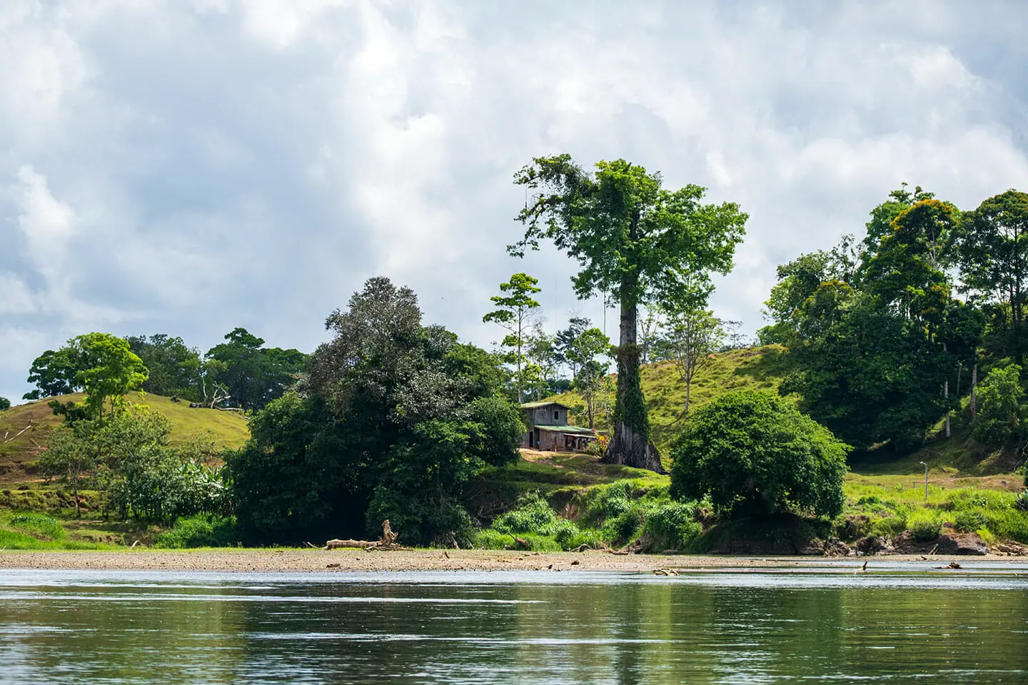 Eine kleine Hütte umgeben von grüner Landschaft am Flussufer des Rio San Carlos, unter stark bewölktem Himmel.