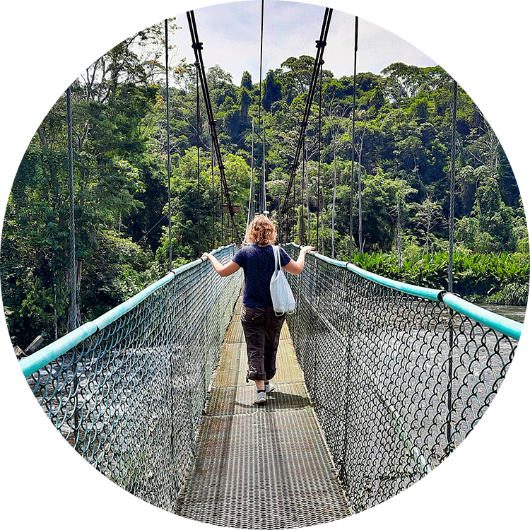 Eine Frau geht über eine Hängebrücke über dem Rio Sarapiqui, welcher von dichtem Regenwald umgeben ist.