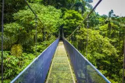 Abenteuerliche Hängebrücke im Dschungel: Die Mistico Hängebrücken in der Nähe des Vulka Arenal sind ein gutes Reiseziel bei einer Costa Rica Reise in den Herbstferien 