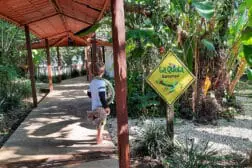 Die La Quinta Lodge in Costa Rica: Überdachte Wege führen über das Gelände zu jedem einzelnen Zimmer. In den Büschen daneben tummeln sich Vögel, Frösche, Leguane und mehr exotische Tiere