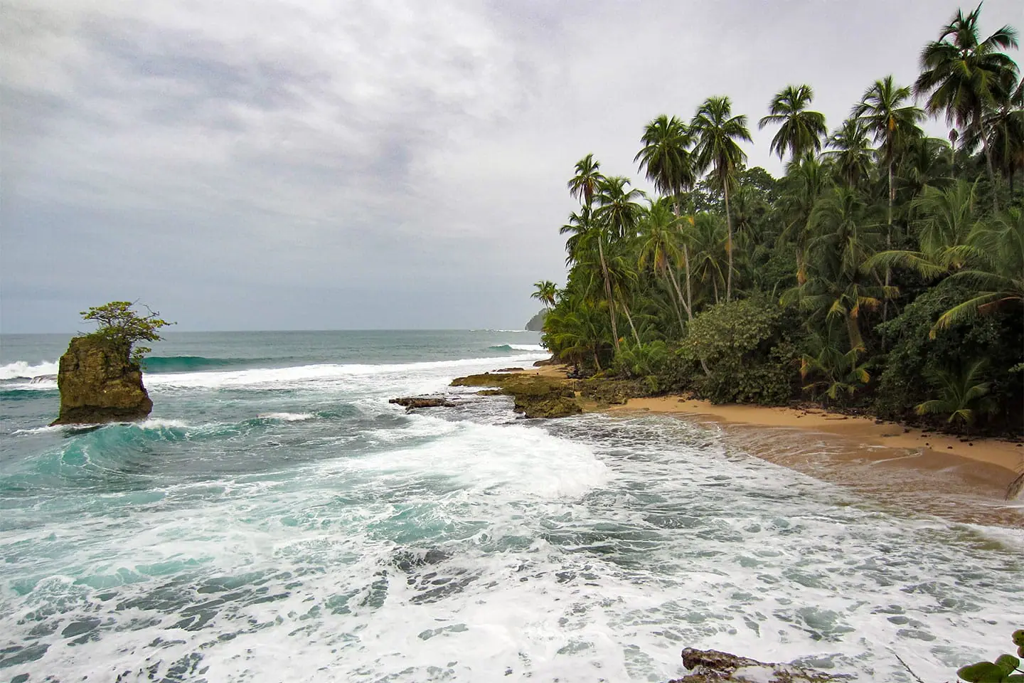 Manzanillo-Schutzgebiet-Costa-Rica-Herbst