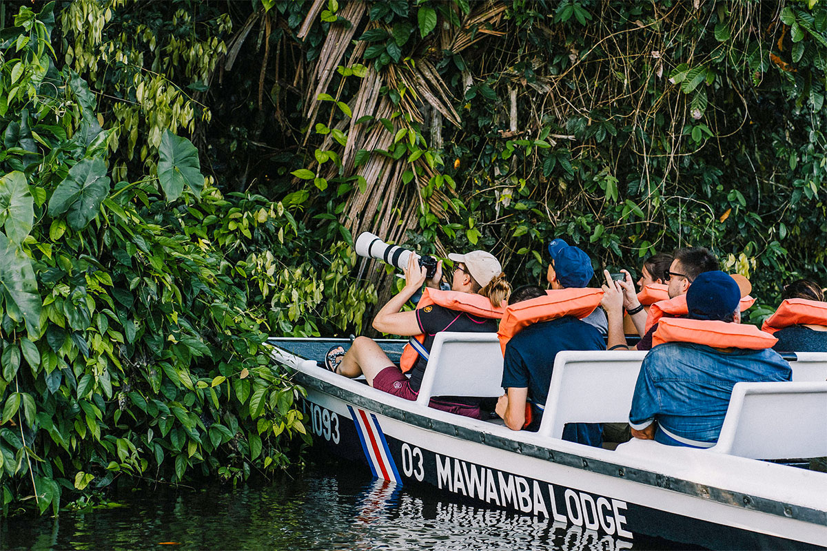 Touristengruppe in einem Ausflugsboot nahe dem Ufer der Kanäle im Tortuguero Nationalpark, während sie ein Tier im dichten Uferbewuchs beobachten.