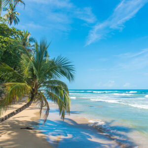 Traumstrand in Costa Rica an der Karibikküste zwischen Puerto Viejo und Manzanillo