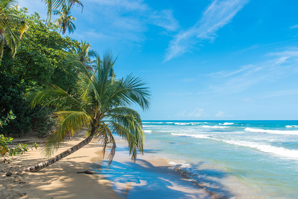Traumstrand in Costa Rica an der Karibikküste zwischen Puerto Viejo und Manzanillo