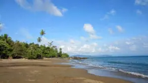 Costa Rica Urlaub Kosten: Das Bild zeigt einen schönen Strand mit blauem Himmel.