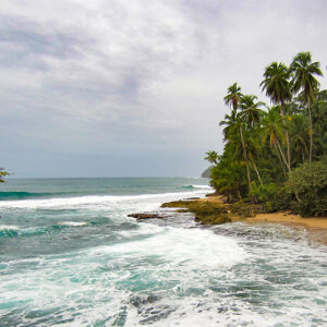 Karibikküste in Costa Rica - Wilder Strand, palmengesäumte Strände