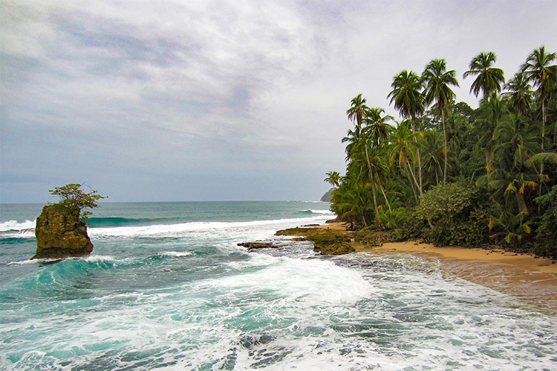 Karibikküste in Costa Rica - Wilder Strand, palmengesäumte Strände