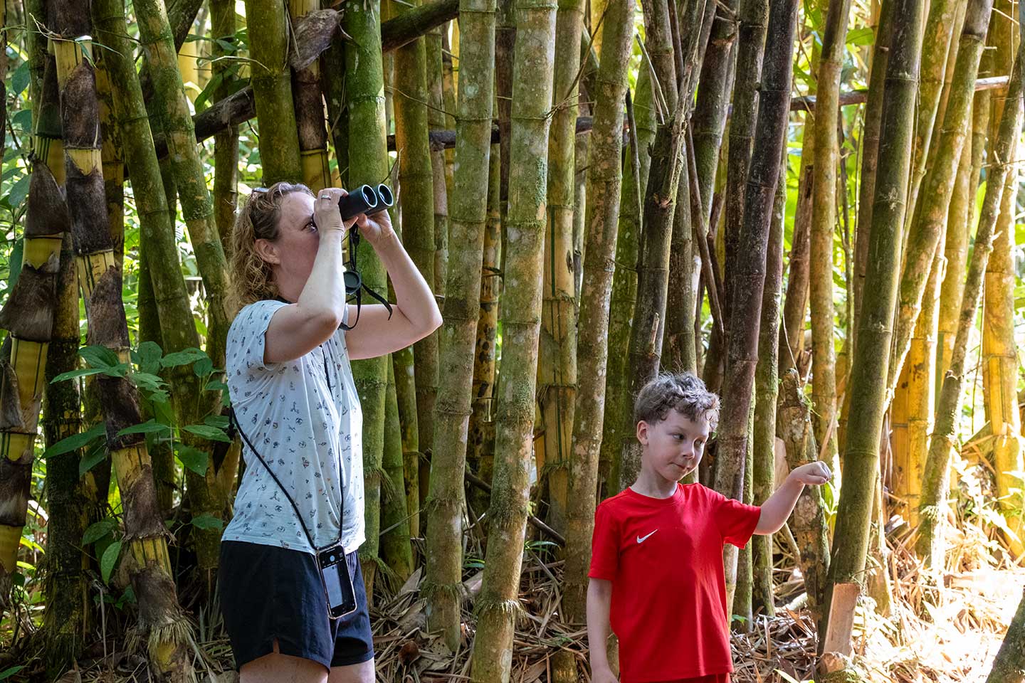 Stefanie Lange auf Vogelboebachtung in Panama.