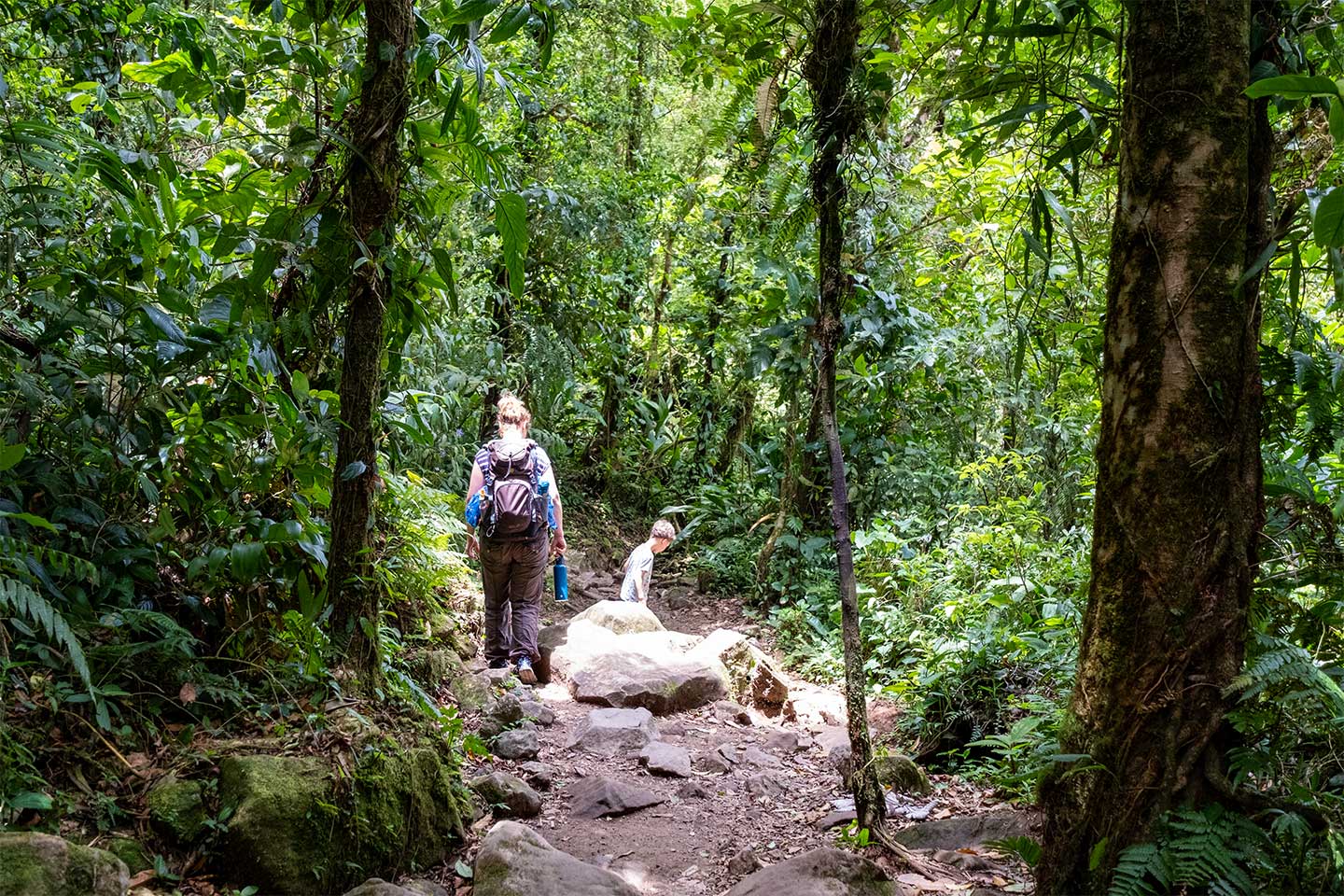 Ein Frau wandert mit einem Kind durch das Hochland bei Boquete in Panama