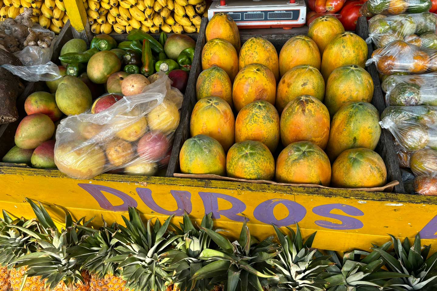Obststand außerhalb von Panama City
